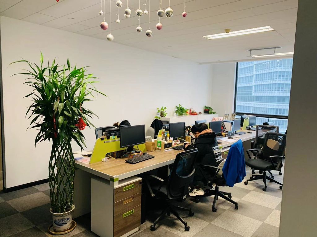 展示图片